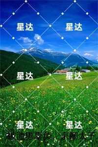 沈颜顾时宴
