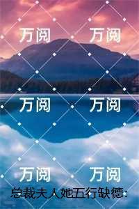 时岑盛景琛