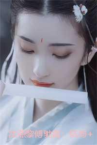 沈燕黎傅驰霄